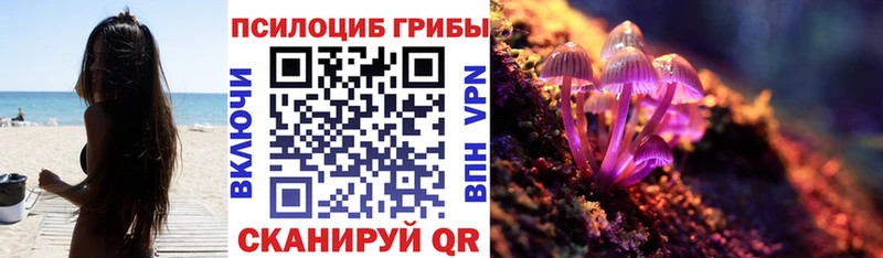 Купить  Нарьян-Мар  Галлюциногенные грибы Magic Shrooms 